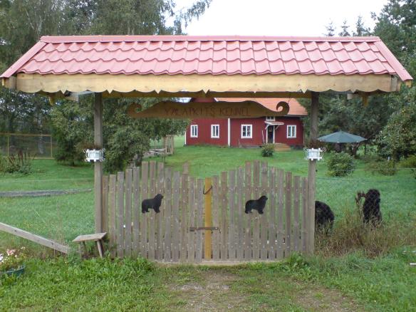 DSC00005