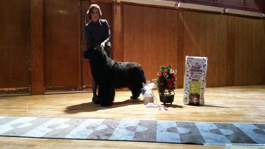 tomotom Bis 1, malung !