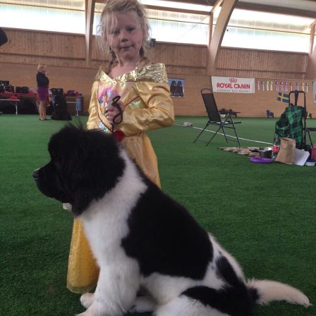 11986593_10207130586884171_5421613968174636051_n