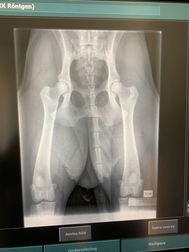 Signe hofter 1904015